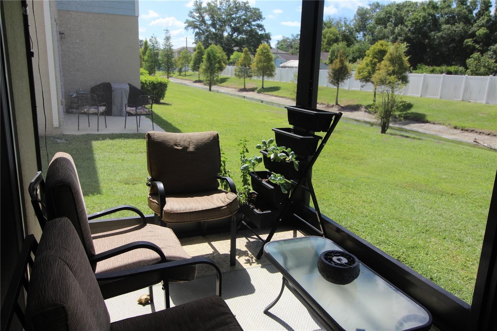 2135 LACEFLOWER DR, BRANDON, FL — photo 6