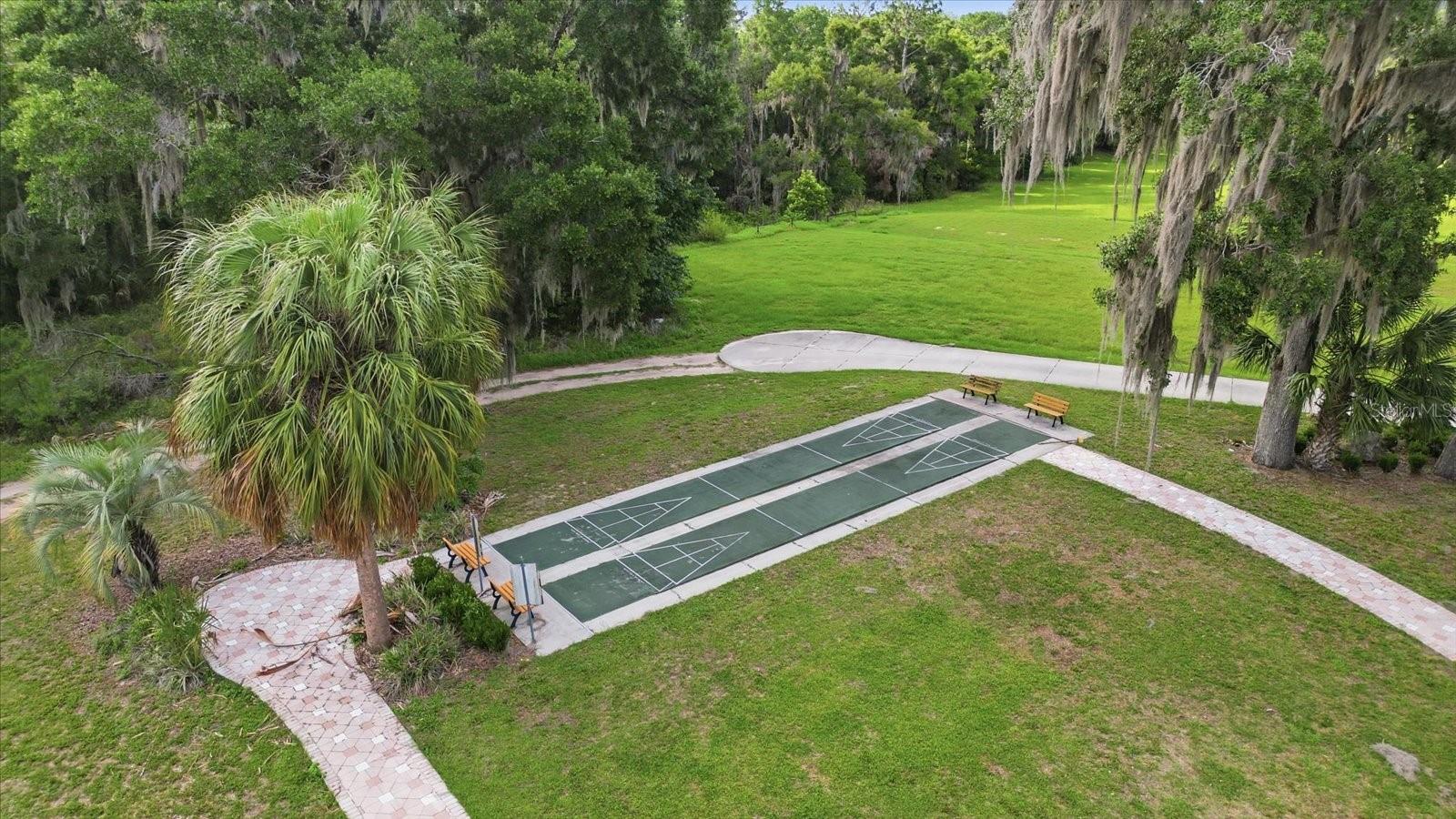 9745 SW 196TH CIR, DUNNELLON, FL — photo 39