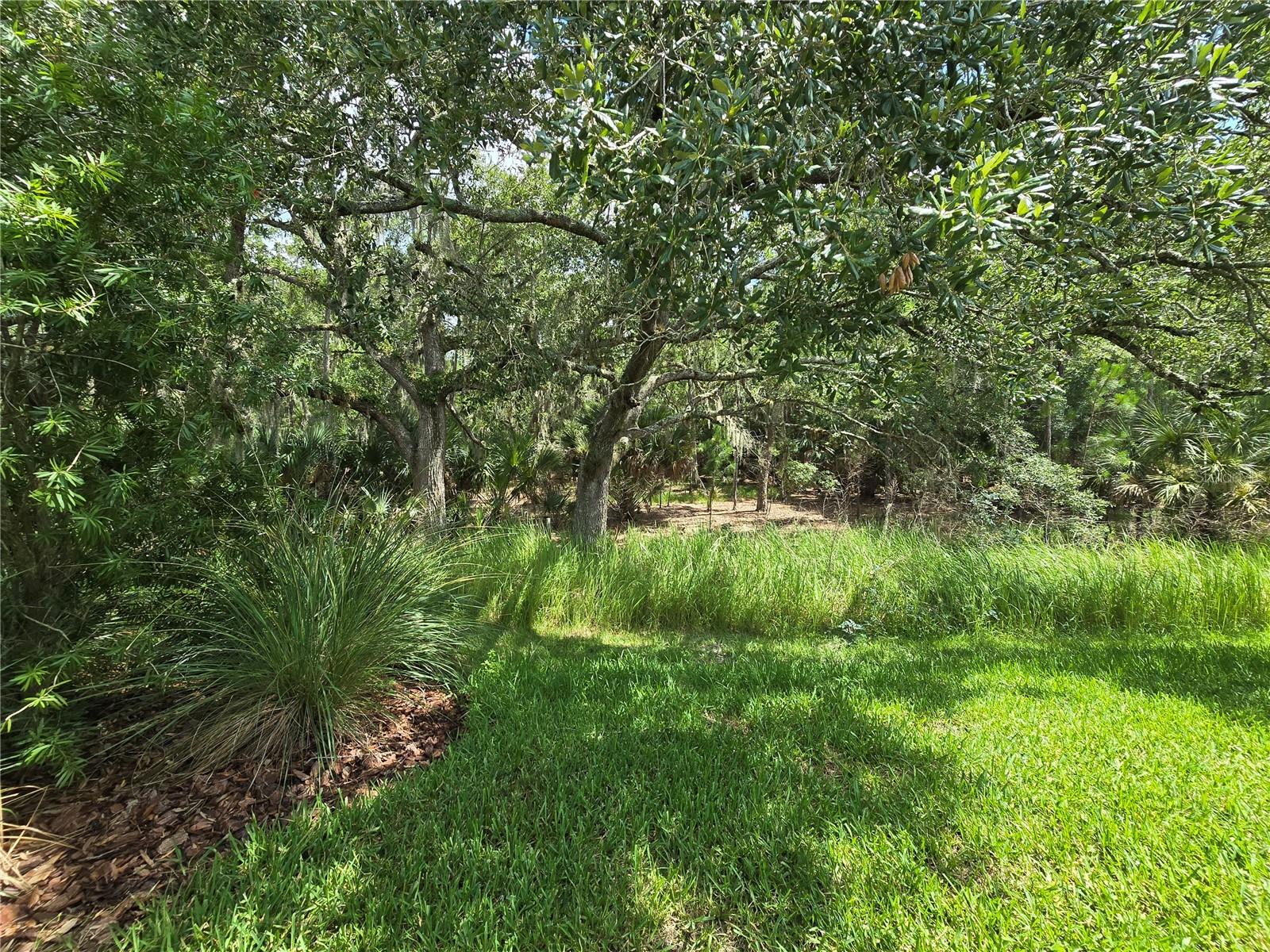 373 VESTRELLA DR, POINCIANA, FL — photo 22