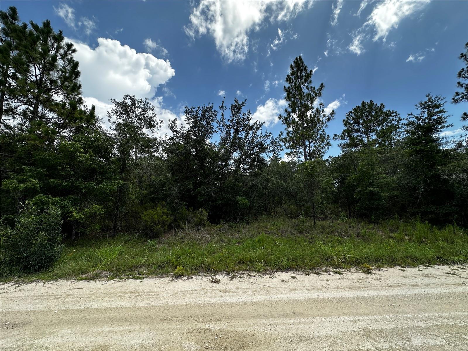 12930 NE 15TH ST, WILLISTON, FL