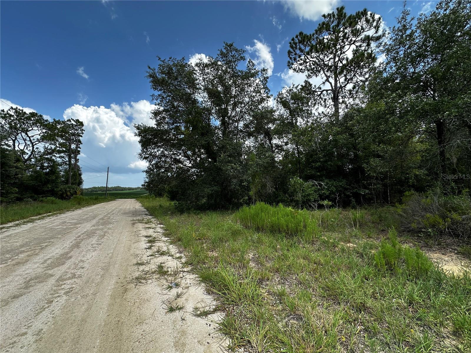 12930 NE 15TH ST, WILLISTON, FL — photo 5