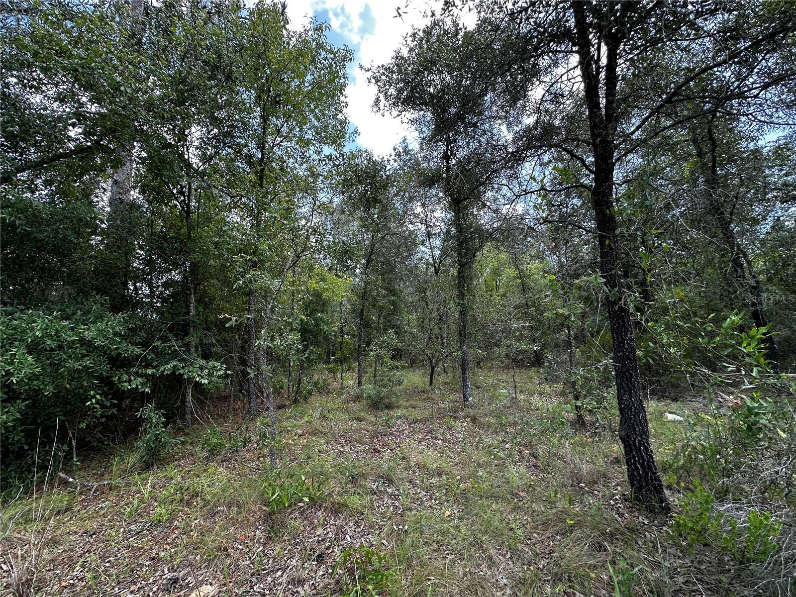12930 NE 15TH ST, WILLISTON, FL — photo 6