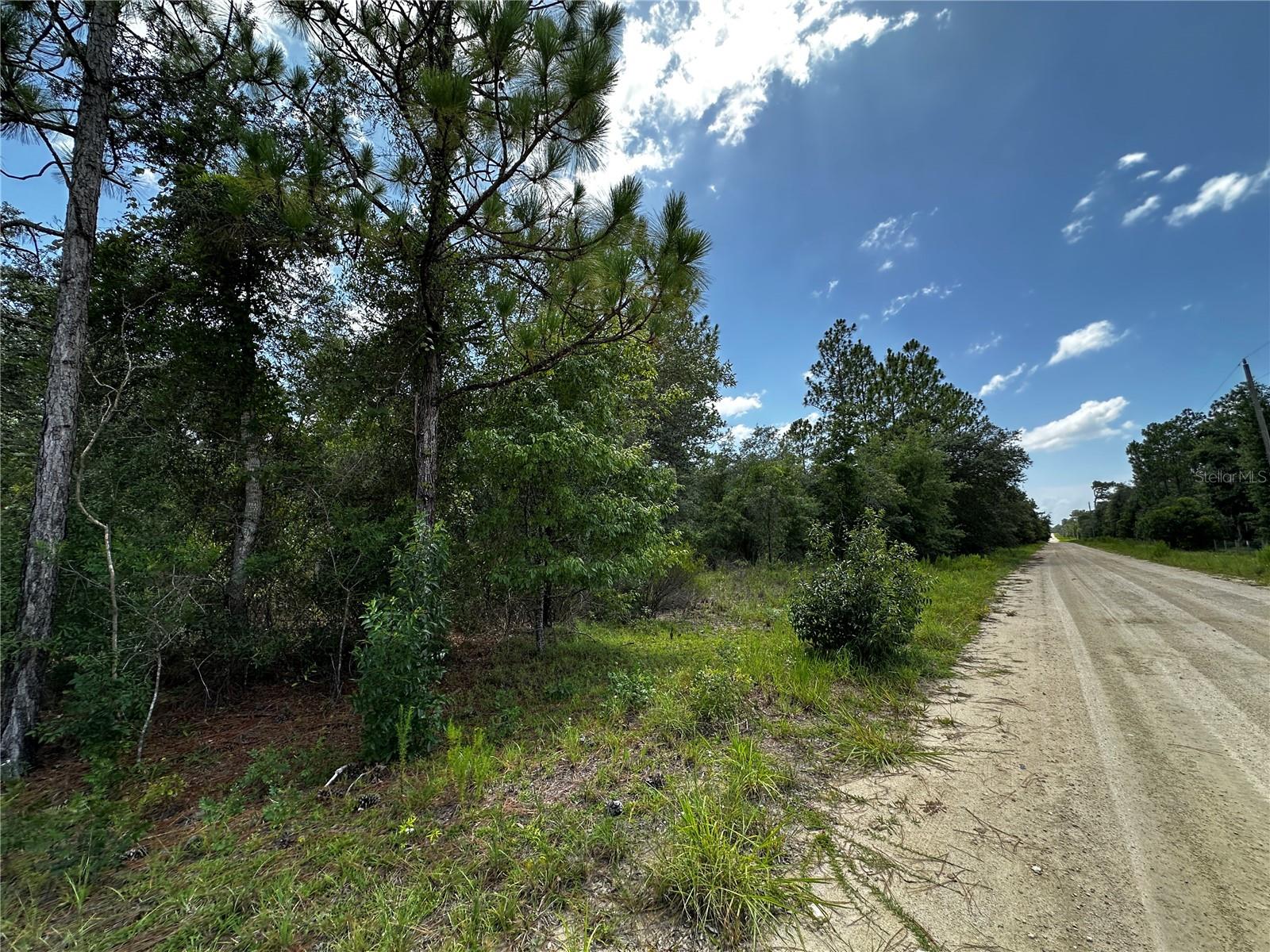12930 NE 15TH ST, WILLISTON, FL — photo 7