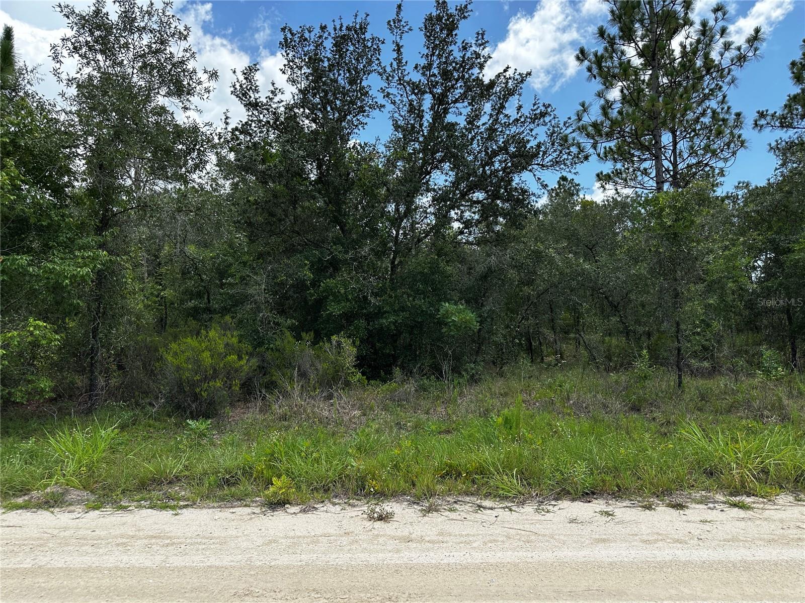 12930 NE 15TH ST, WILLISTON, FL — photo 8