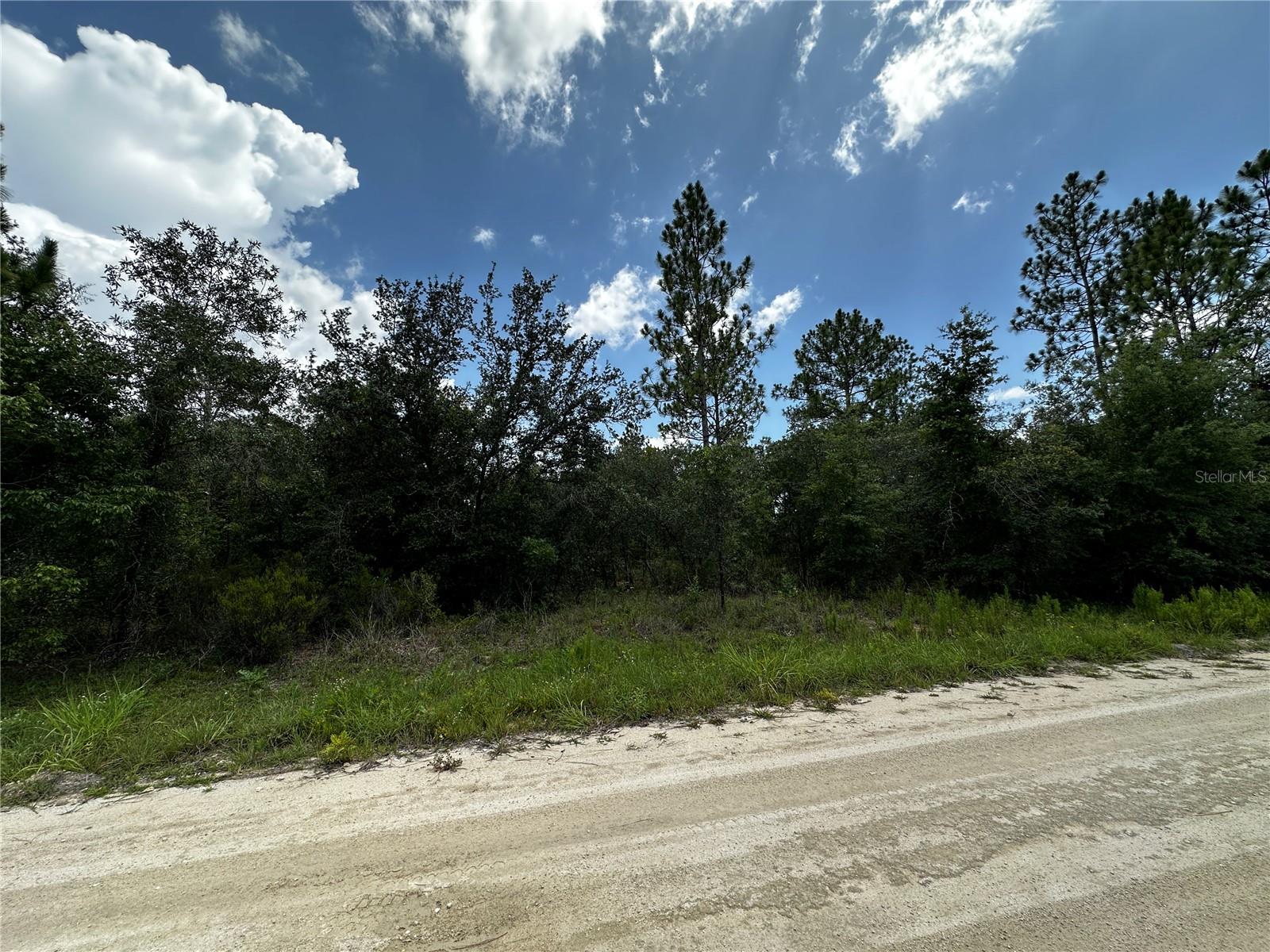 12930 NE 15TH ST, WILLISTON, FL — photo 9