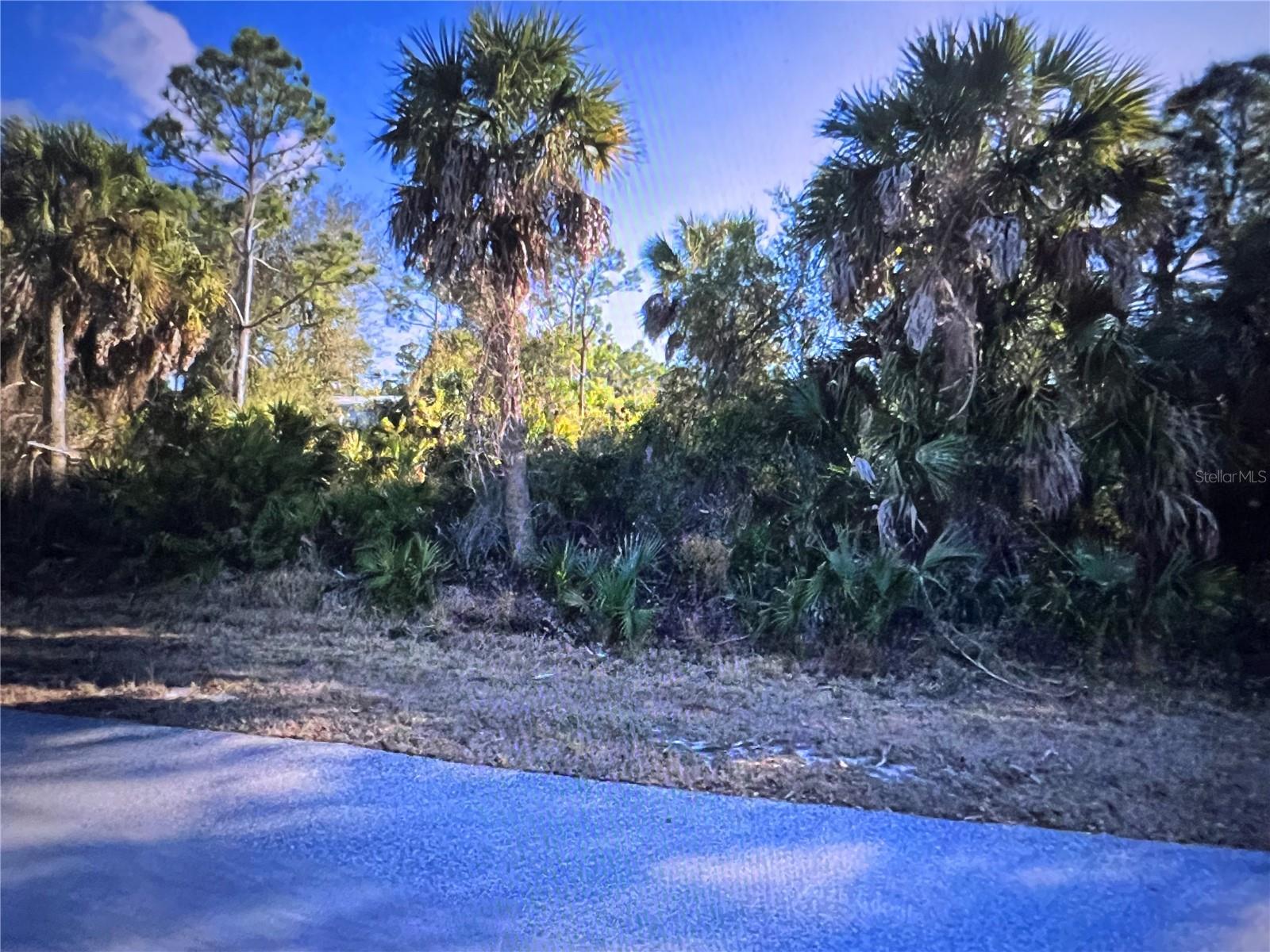 26319 BROOKS RD, PUNTA GORDA, FL