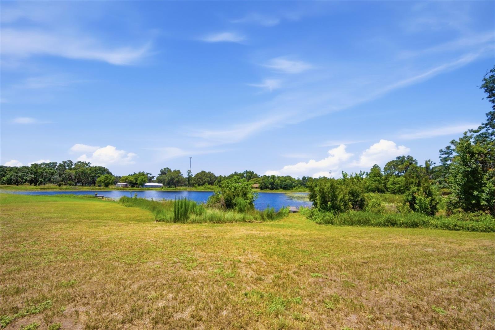 18208 STATE ROAD 52, LAND O LAKES, FL — photo 39