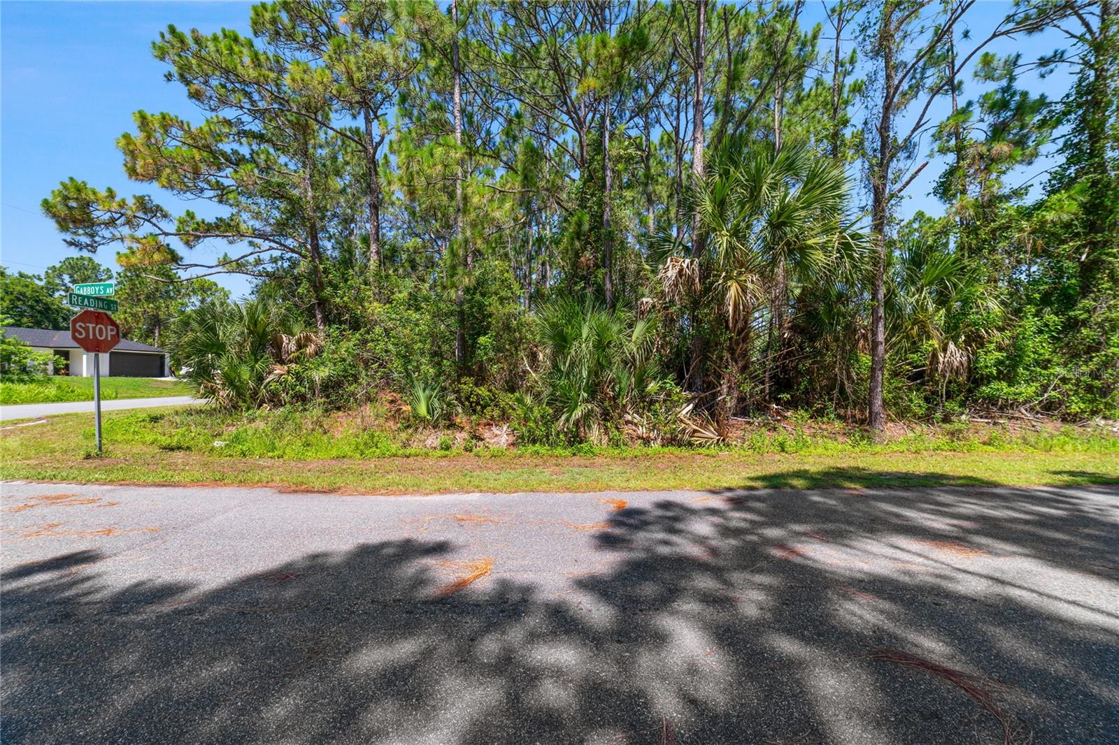 GABBOYS AVE SE, PALM BAY, FL — photo 3