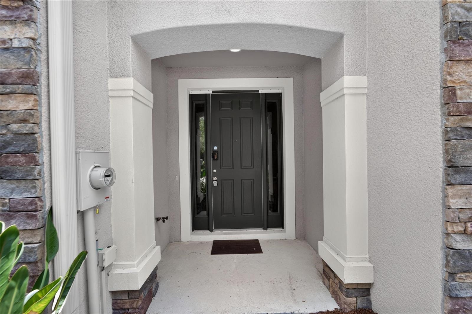 10411 RED CARPET CT, RIVERVIEW, FL — photo 3