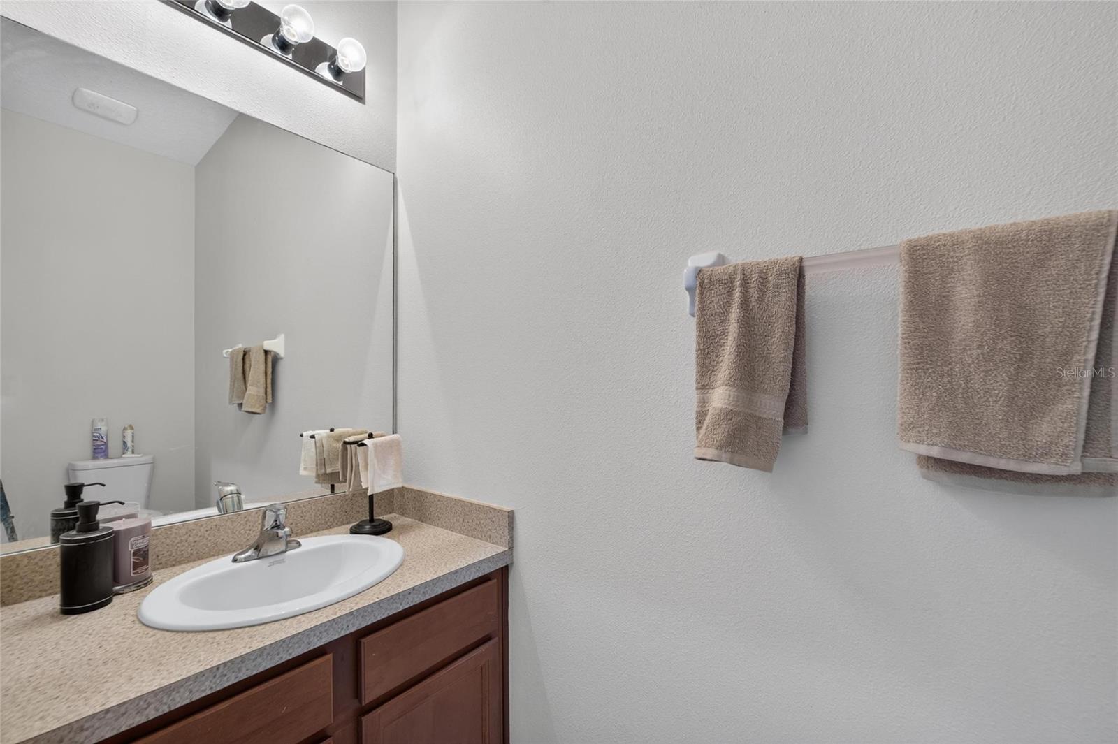 10411 RED CARPET CT, RIVERVIEW, FL — photo 21