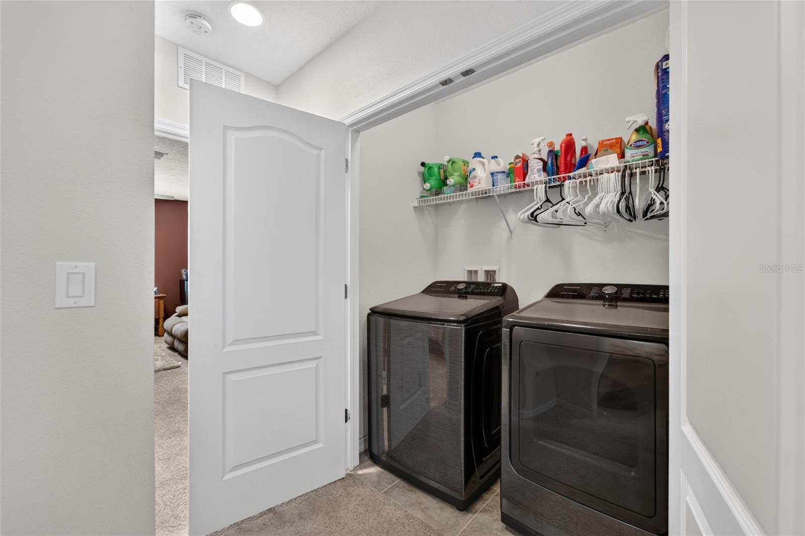 10411 RED CARPET CT, RIVERVIEW, FL — photo 29
