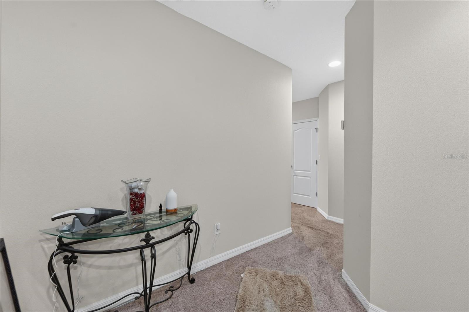 10411 RED CARPET CT, RIVERVIEW, FL — photo 31