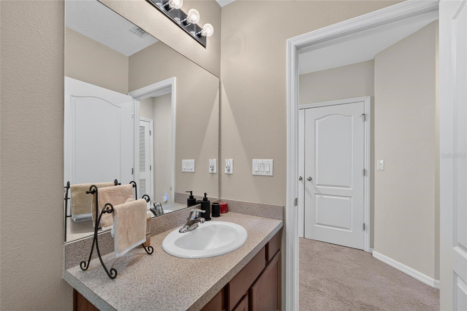 10411 RED CARPET CT, RIVERVIEW, FL — photo 43