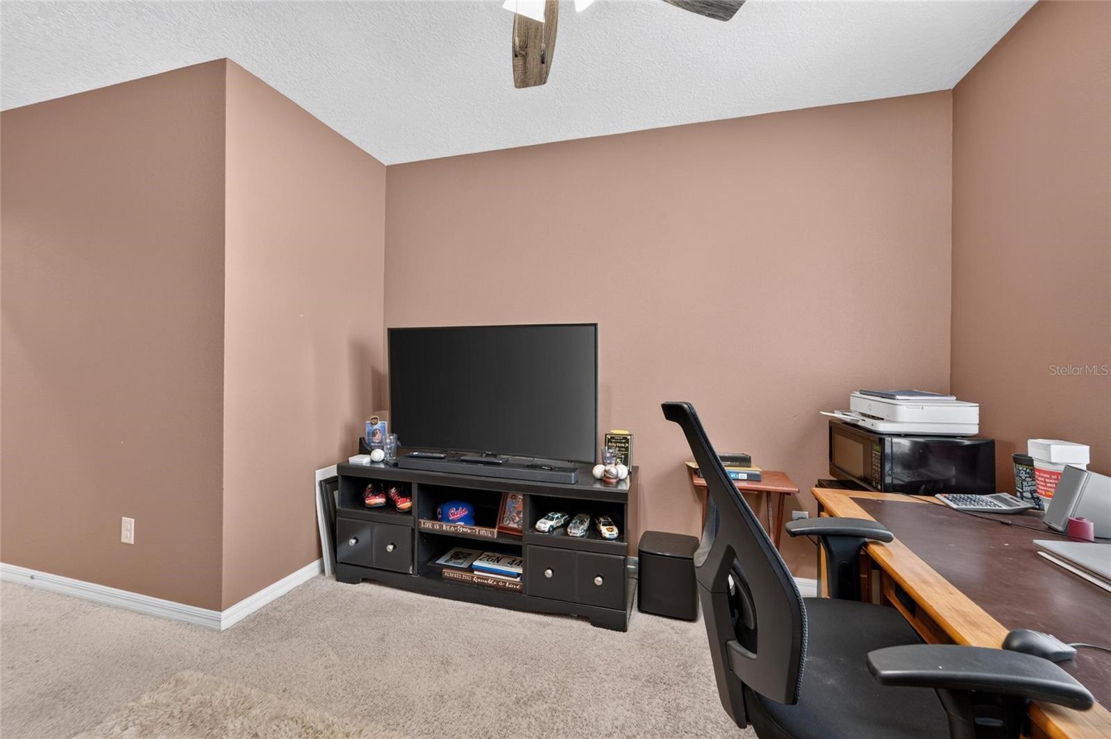 10411 RED CARPET CT, RIVERVIEW, FL — photo 46