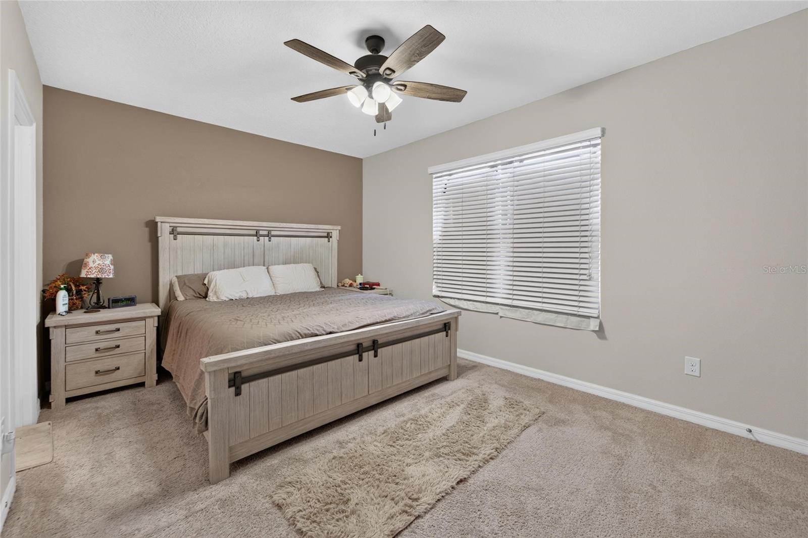 10411 RED CARPET CT, RIVERVIEW, FL — photo 47