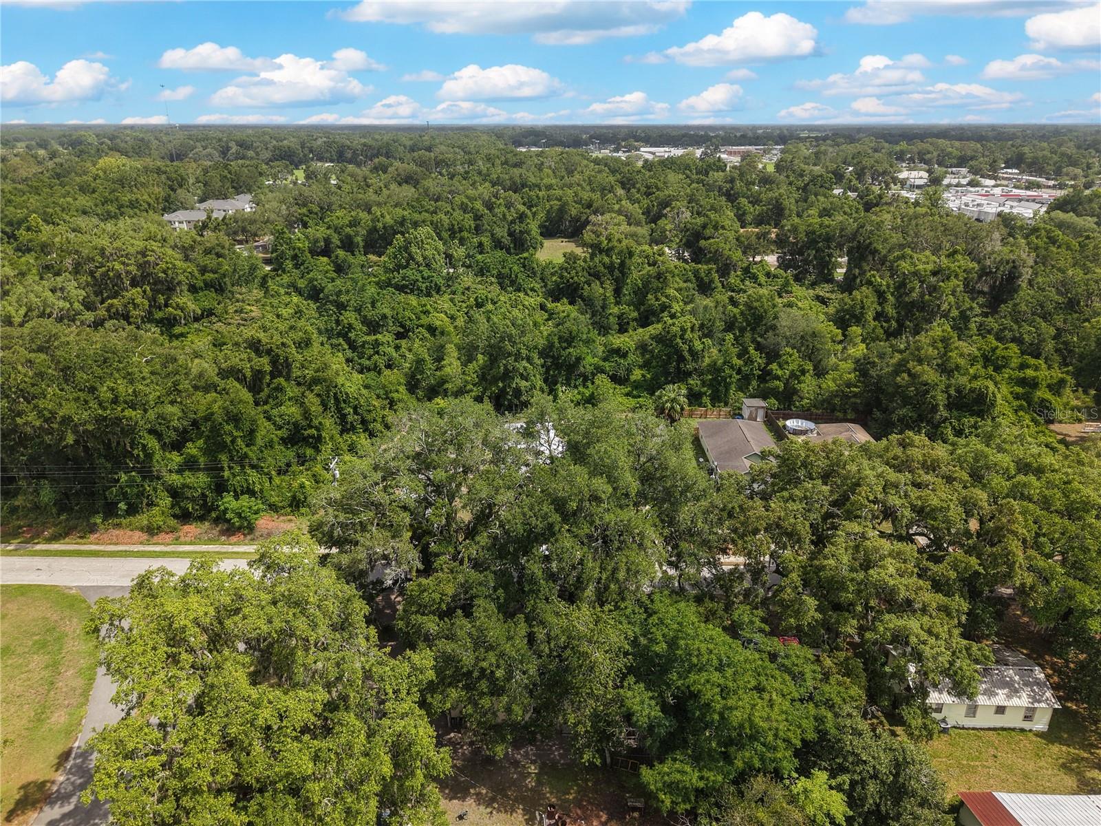 308 SW 2ND AVE, CHIEFLAND, FL — photo 28