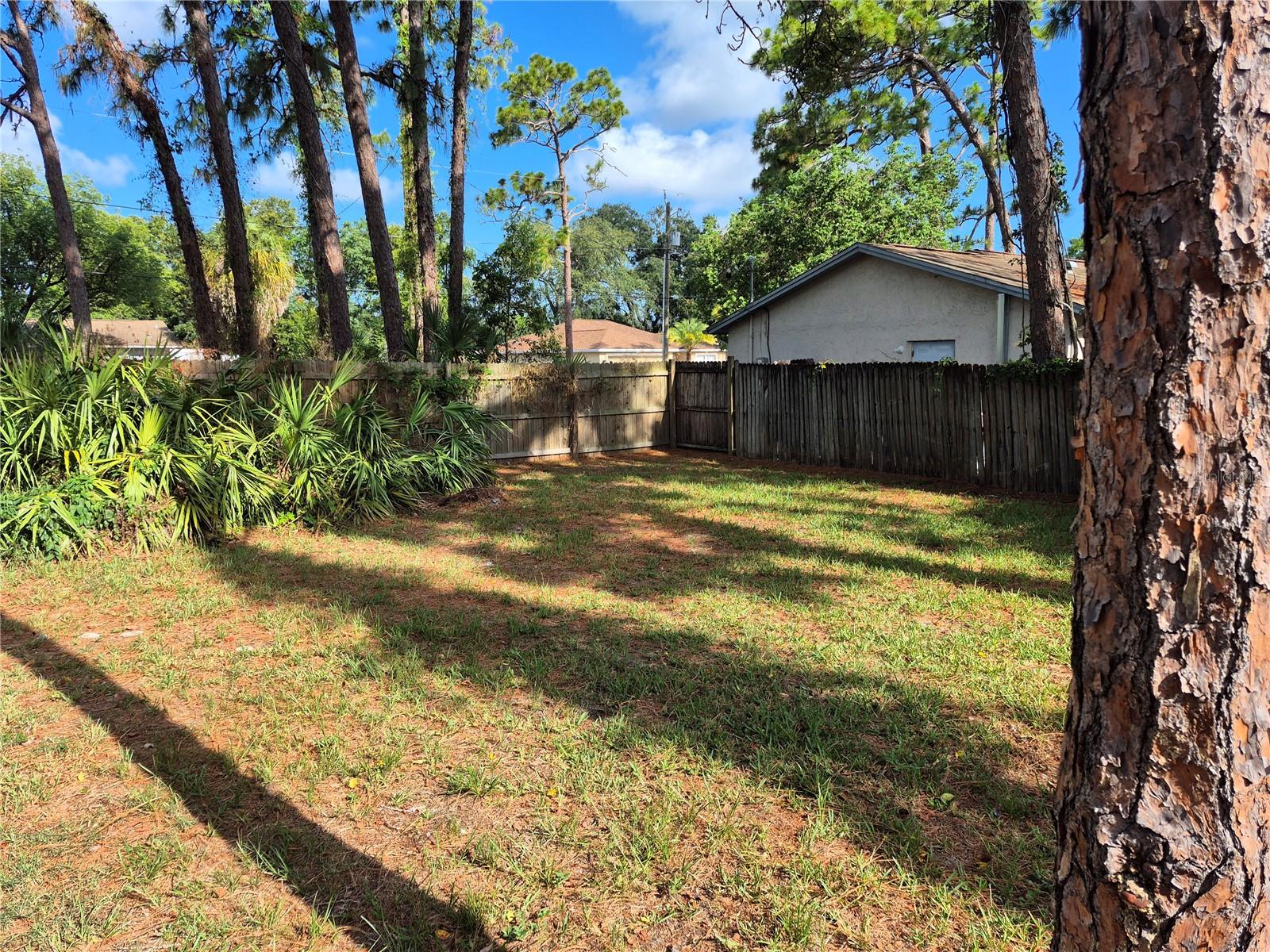 6616 HONE ST, NEW PORT RICHEY, FL — photo 14