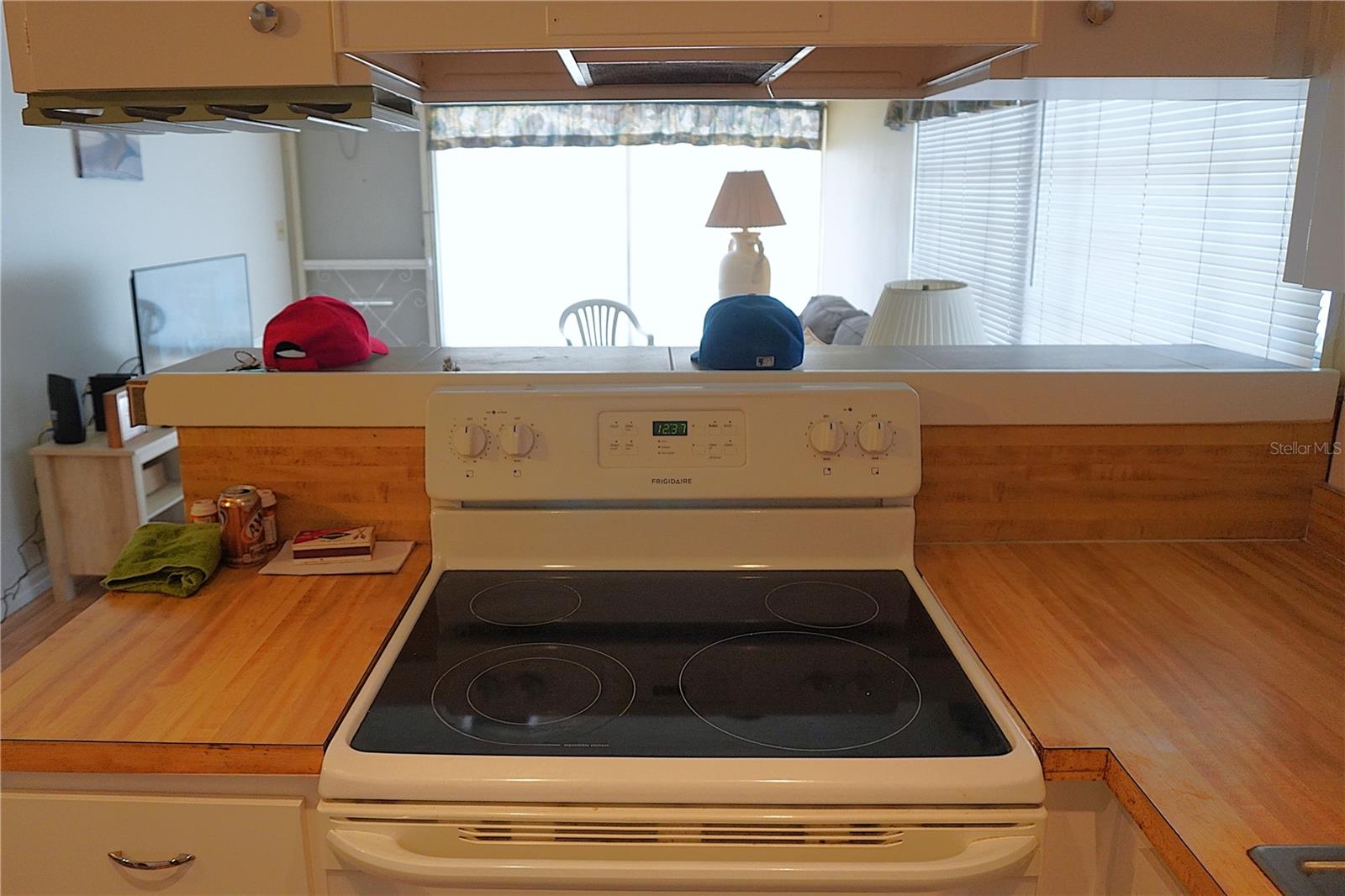 4315 TAHITIAN GARDENS CIR #H, HOLIDAY, FL — photo 10
