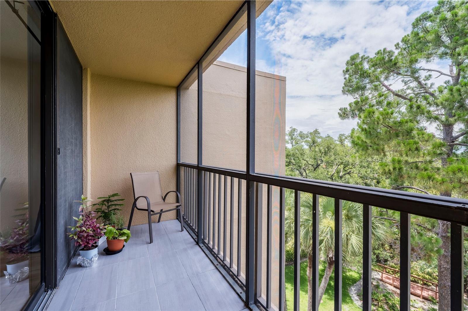 3062 EASTLAND BLVD #406, CLEARWATER, FL — photo 15