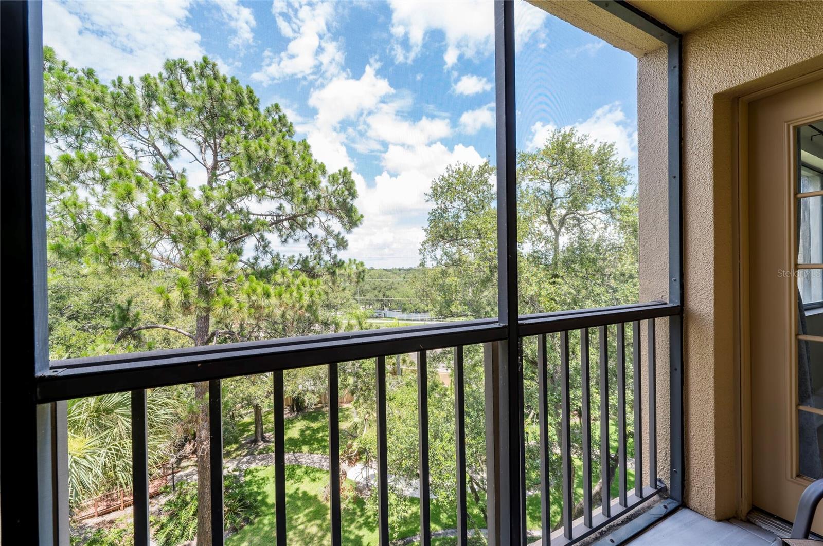 3062 EASTLAND BLVD #406, CLEARWATER, FL — photo 16