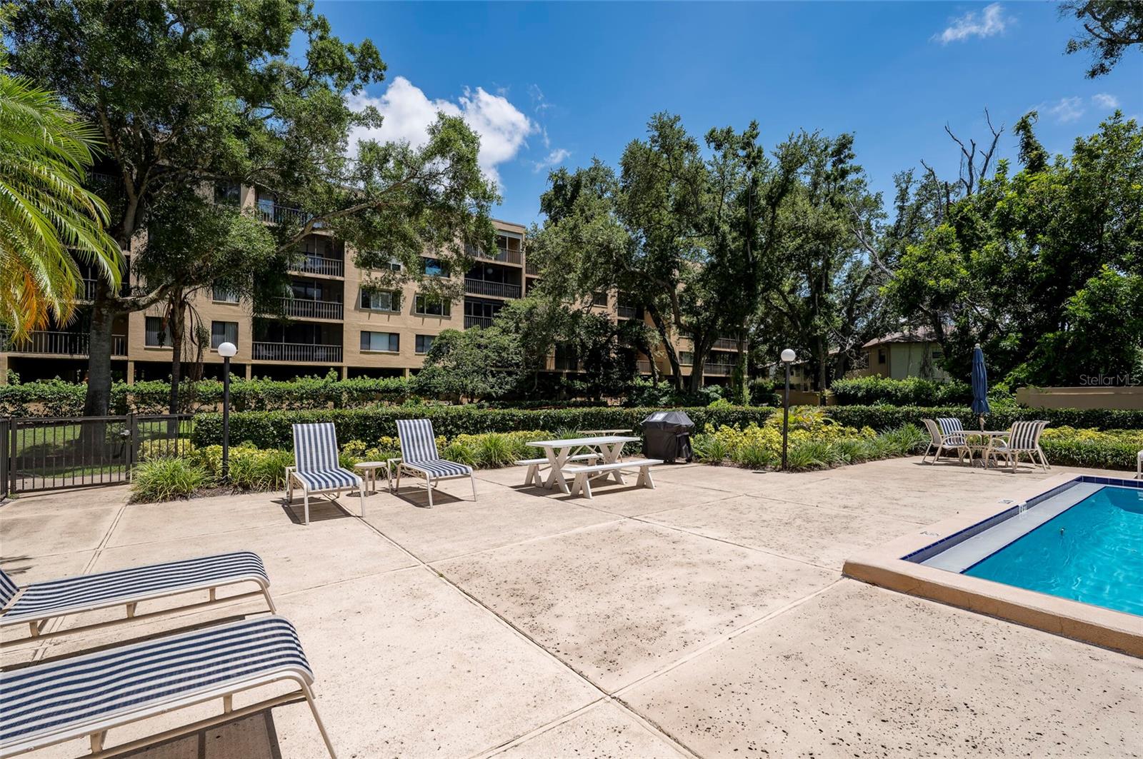 3062 EASTLAND BLVD #406, CLEARWATER, FL — photo 37