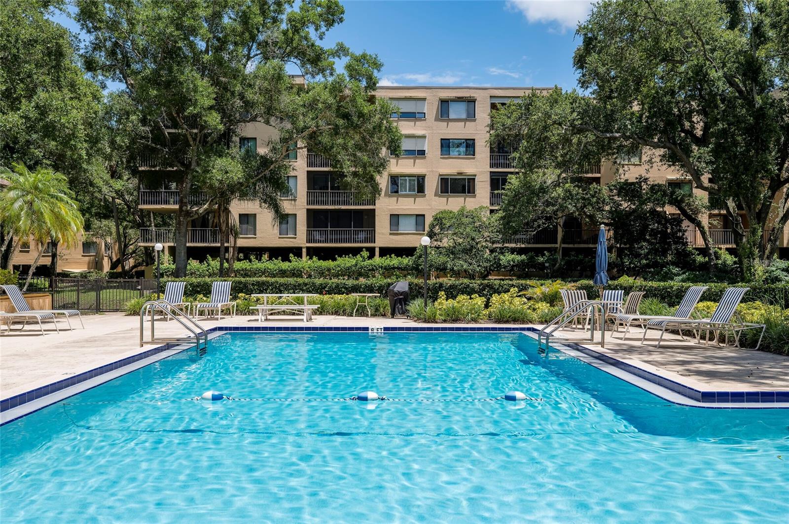 3062 EASTLAND BLVD #406, CLEARWATER, FL — photo 38