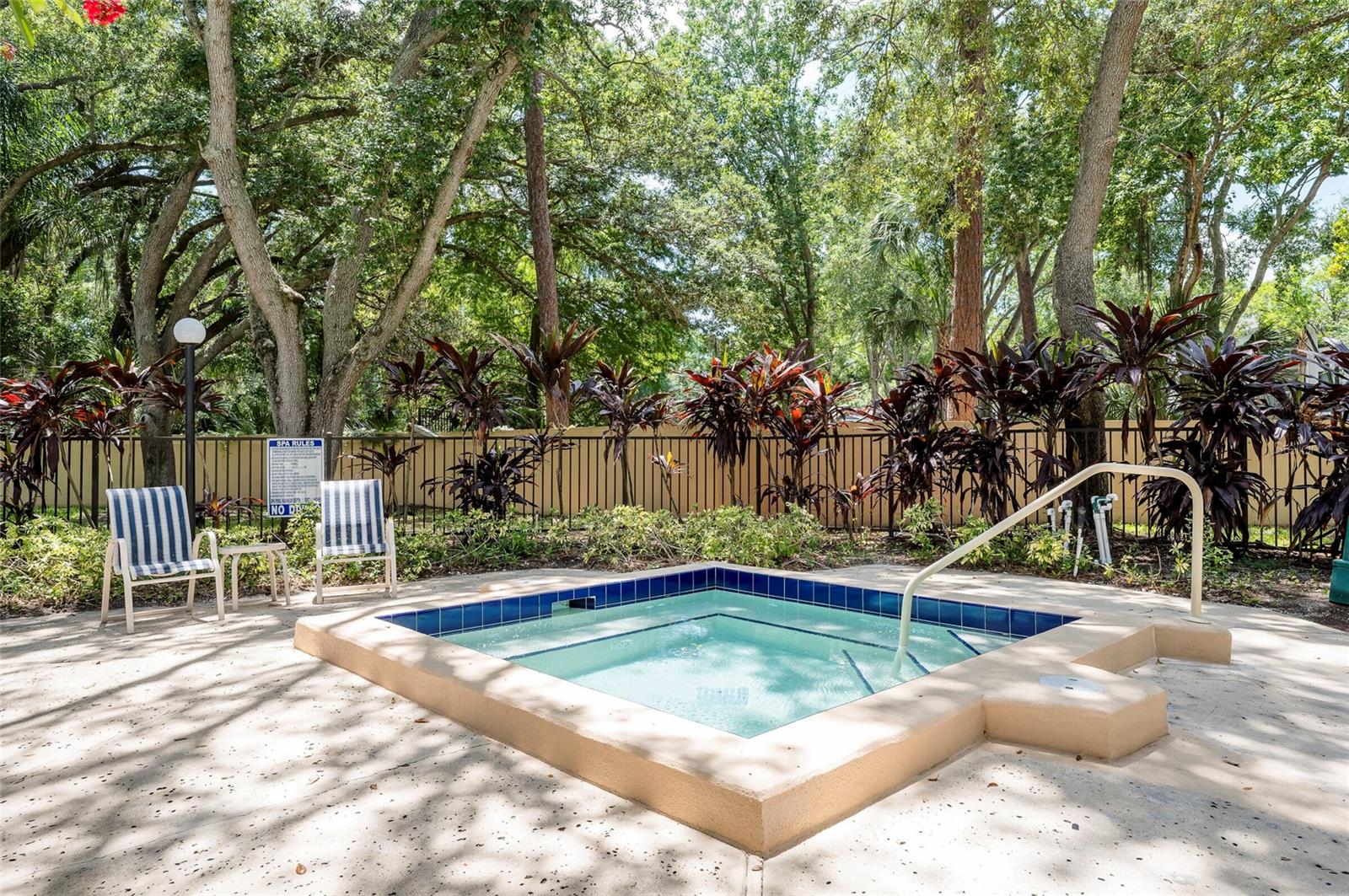 3062 EASTLAND BLVD #406, CLEARWATER, FL — photo 41