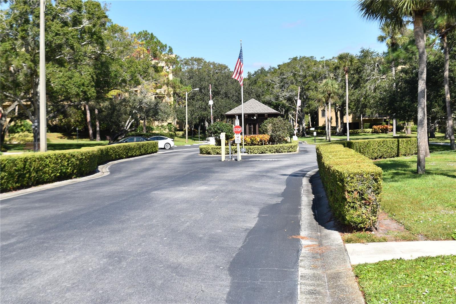 3062 EASTLAND BLVD #406, CLEARWATER, FL — photo 43