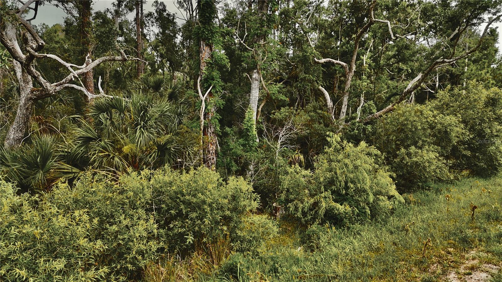 LOTS 10,11,12,13 ADAMS BEACH ROAD, PERRY, FL — photo 3