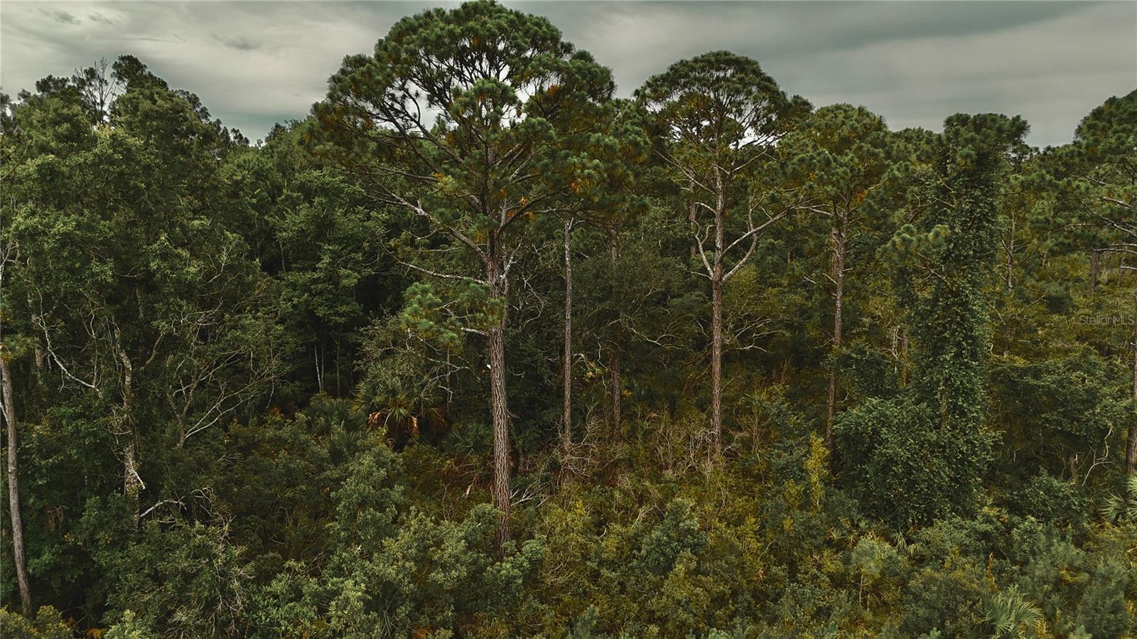 LOTS 10,11,12,13 ADAMS BEACH ROAD, PERRY, FL — photo 10
