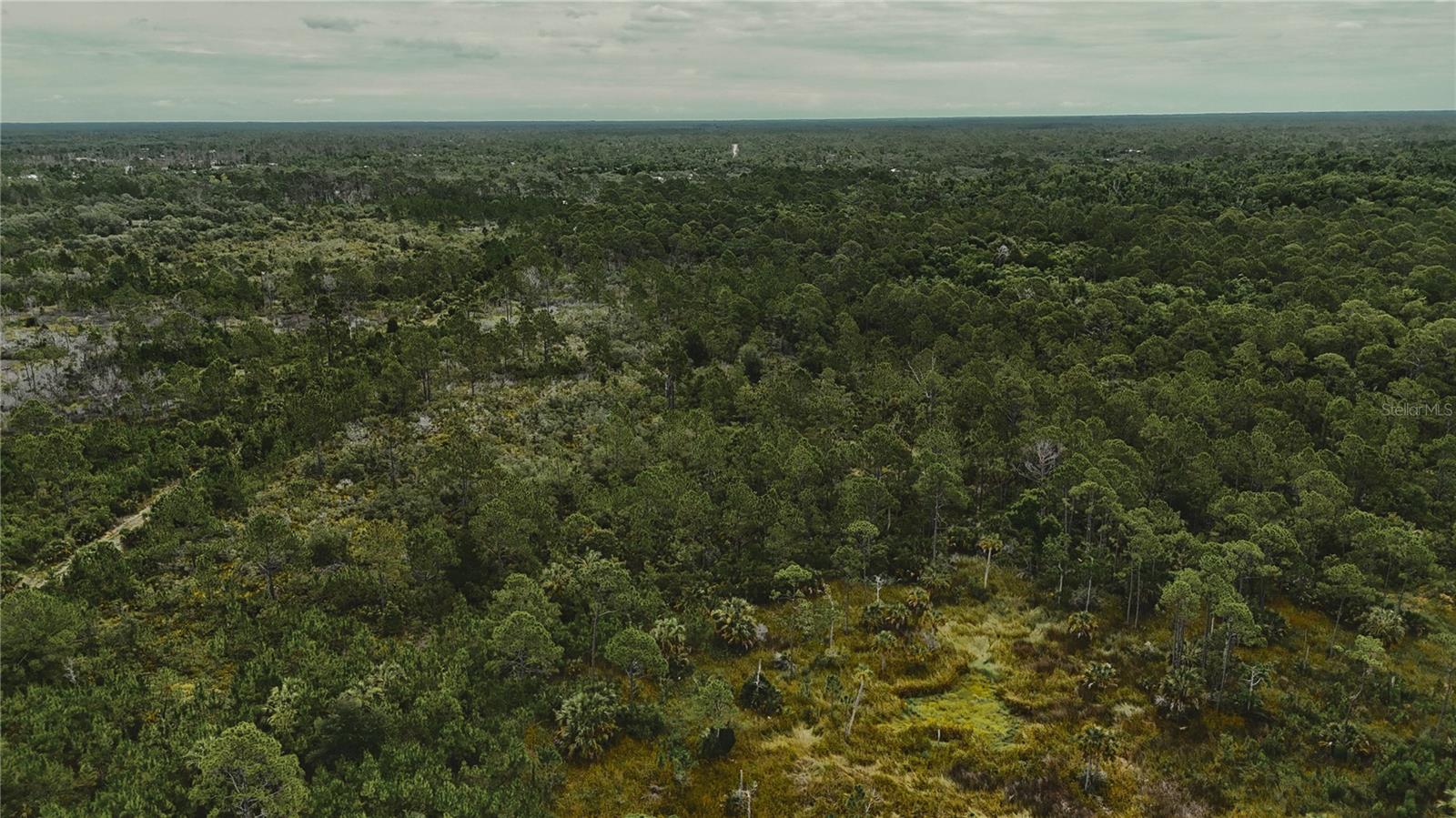 LOTS 10,11,12,13 ADAMS BEACH ROAD, PERRY, FL — photo 13