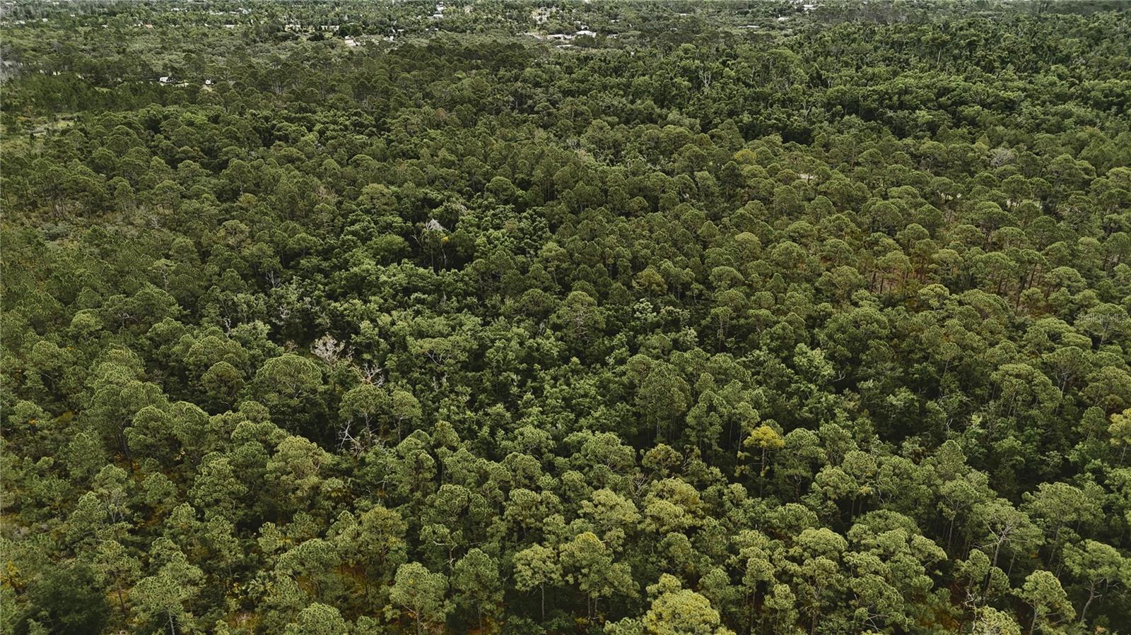LOTS 10,11,12,13 ADAMS BEACH ROAD, PERRY, FL — photo 15