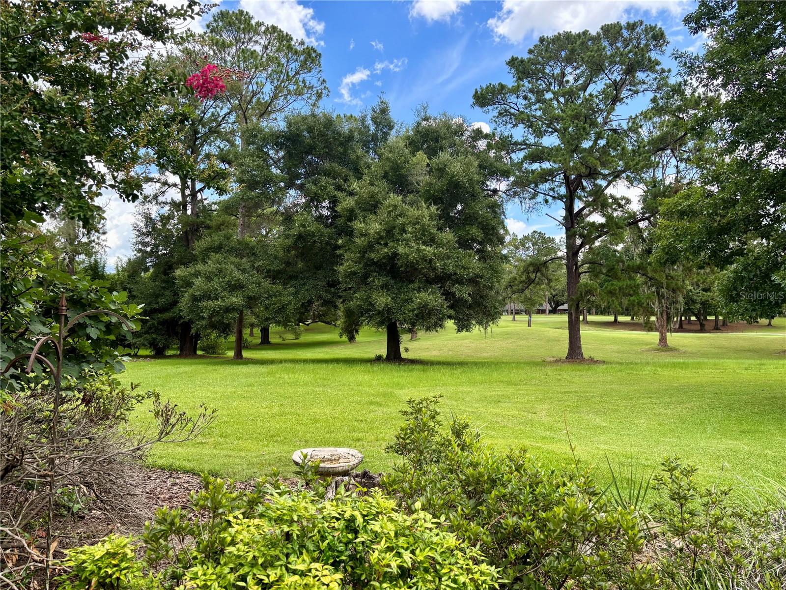 10961 PALMETTO BLVD, ALACHUA, FL — photo 8
