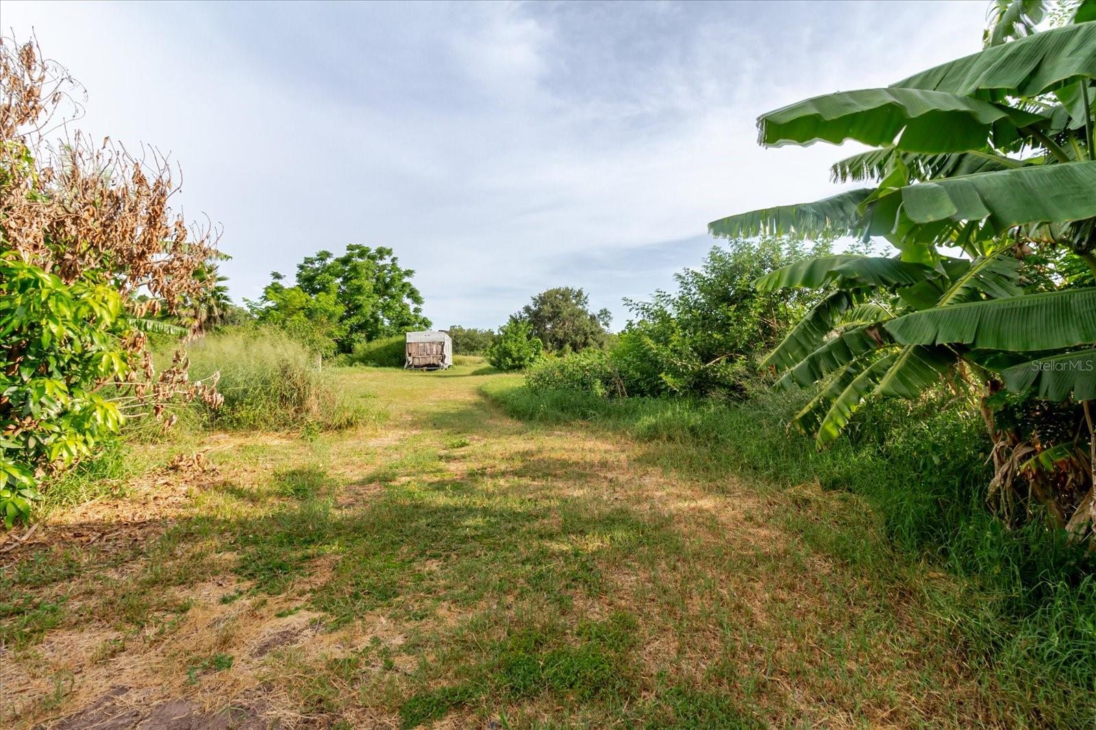 11109 SUMNER RD, WIMAUMA, FL — photo 72