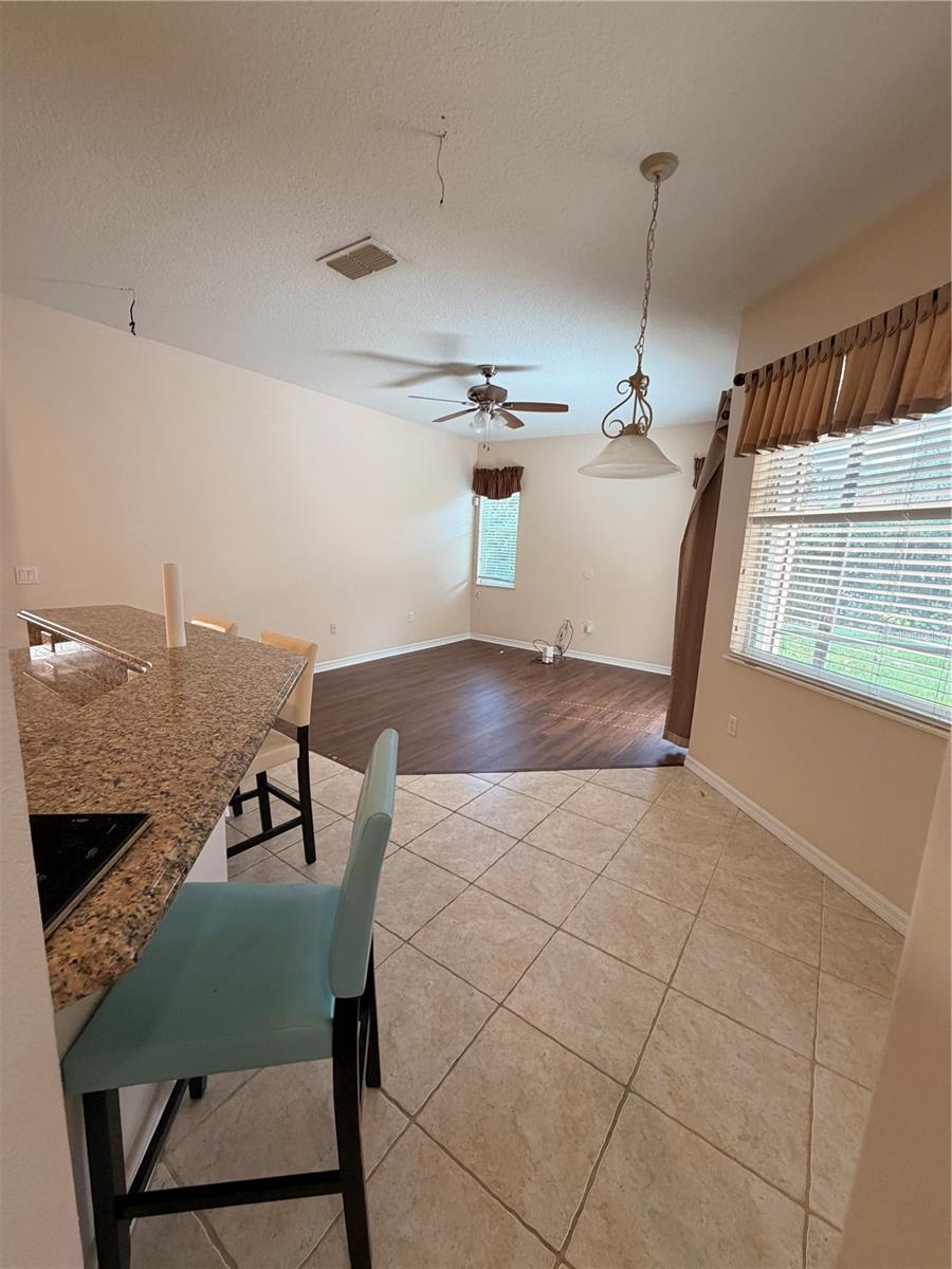 11316 RAPALLO LN, WINDERMERE, FL — photo 9