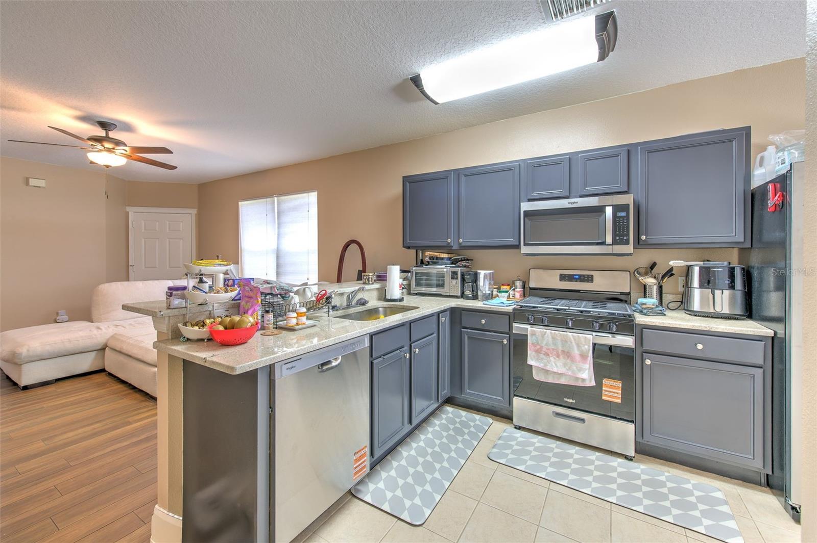 5843 WRENWATER, LITHIA, FL — photo 9