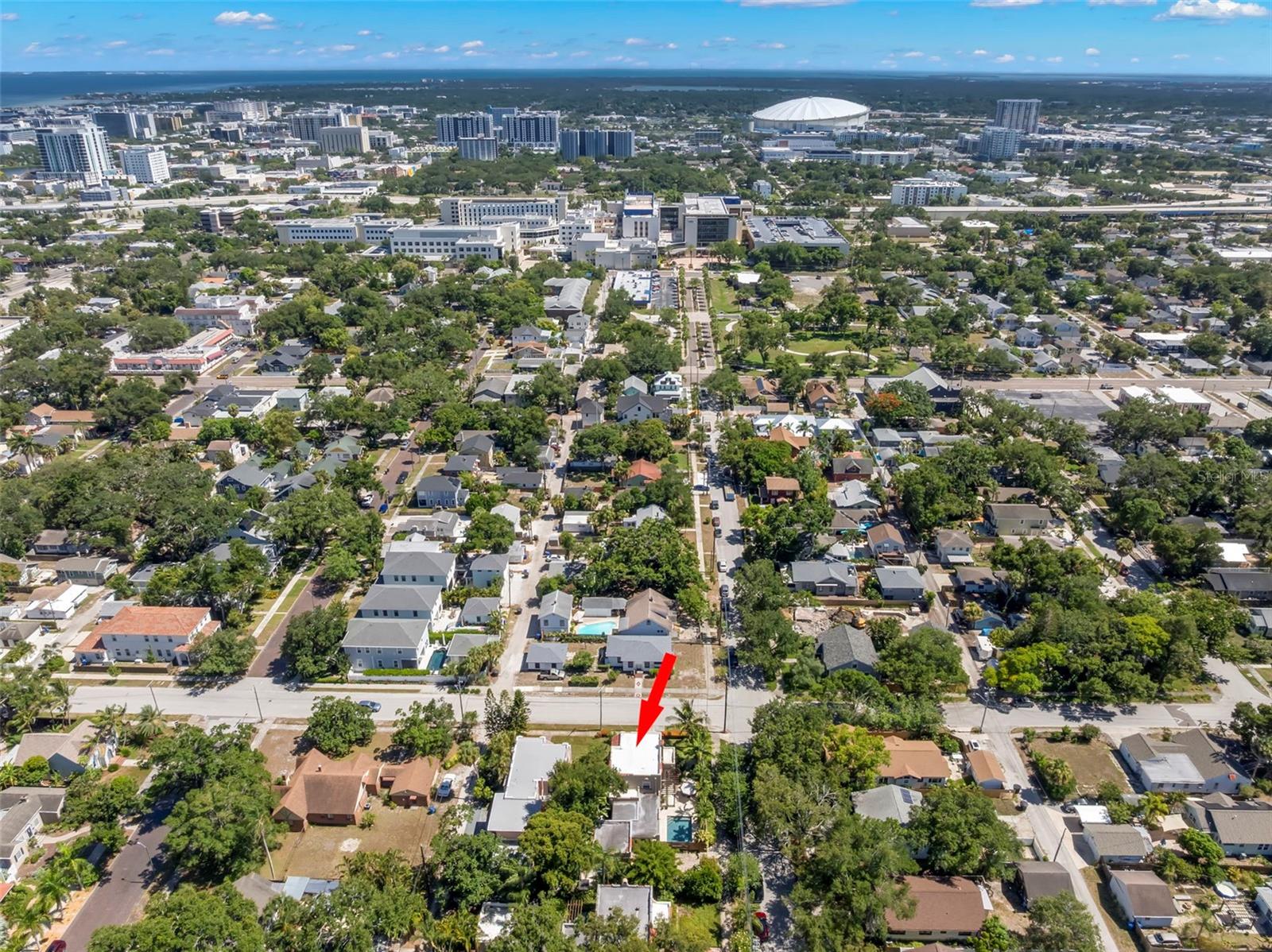 1125 11TH AVE NE, ST PETERSBURG, FL — photo 63