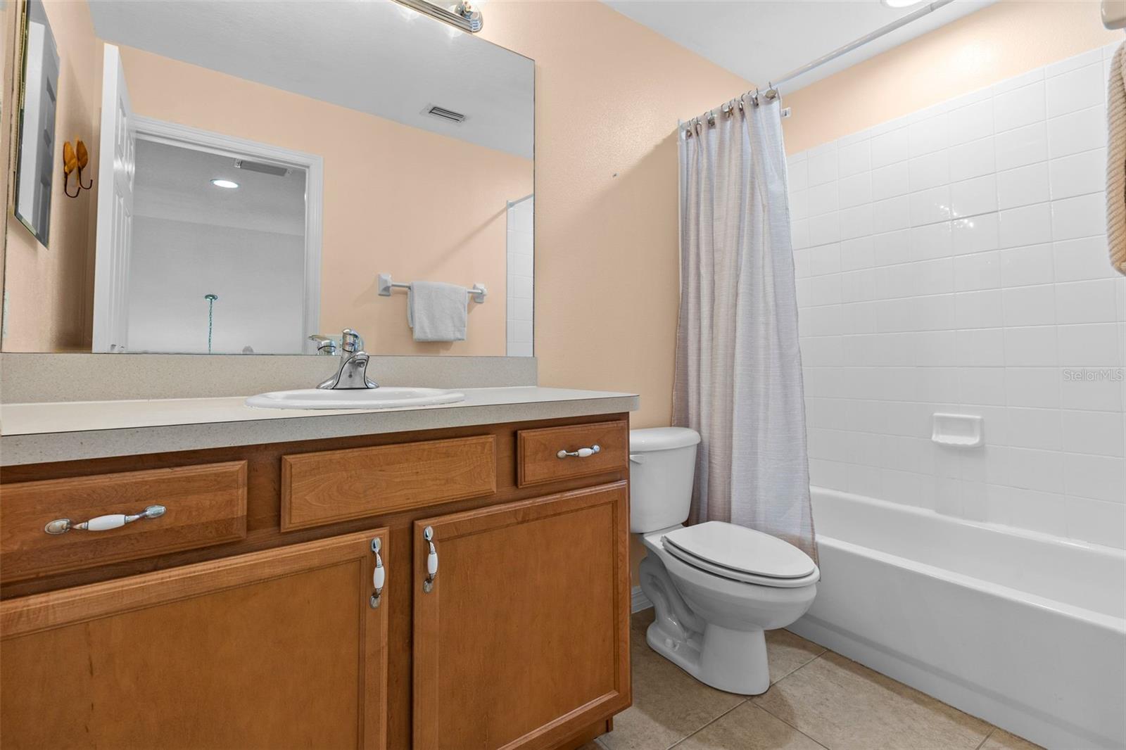 3350 COVERED BRIDGE DR W, DUNEDIN, FL — photo 38