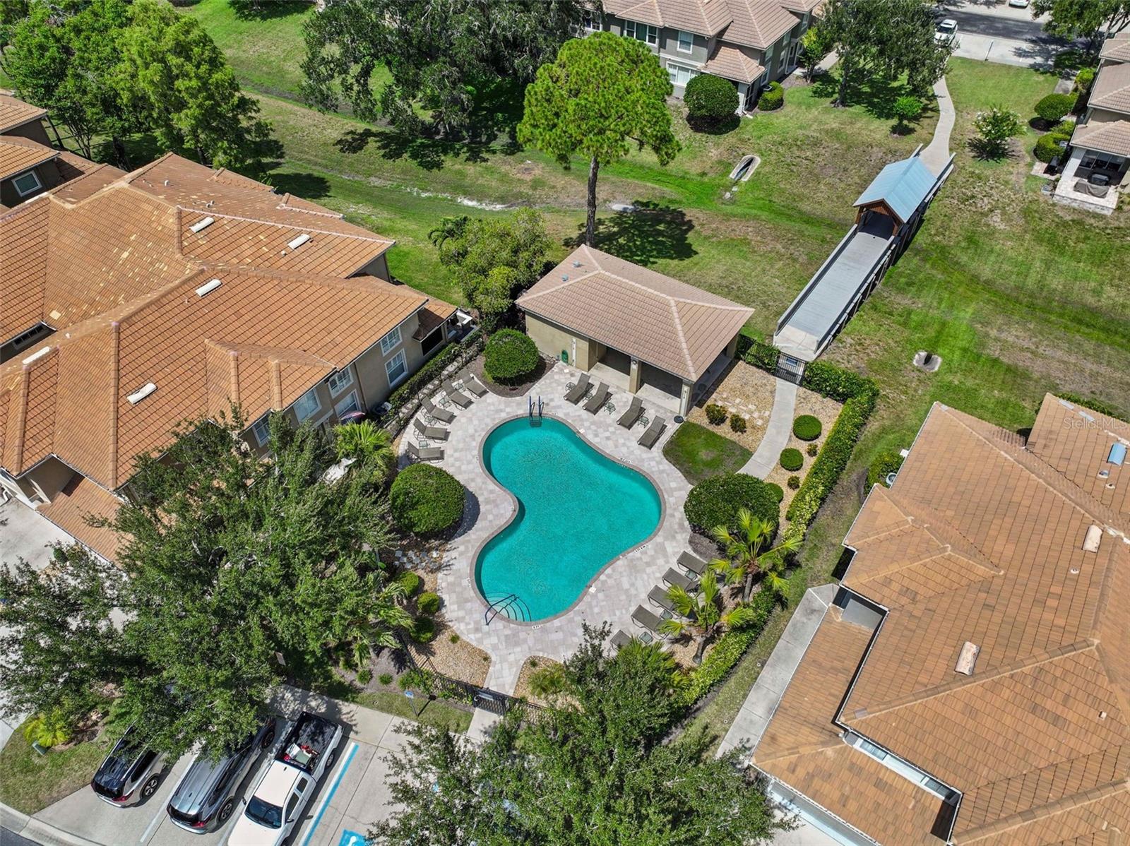 3350 COVERED BRIDGE DR W, DUNEDIN, FL — photo 56