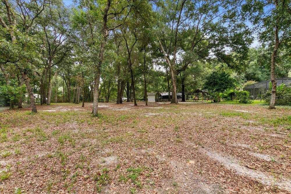 2619 W PONKAN RD, APOPKA, FL — photo 36