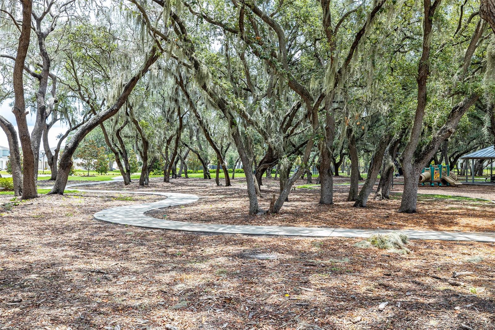 13011 PENNYBROOK DR, RIVERVIEW, FL — photo 34