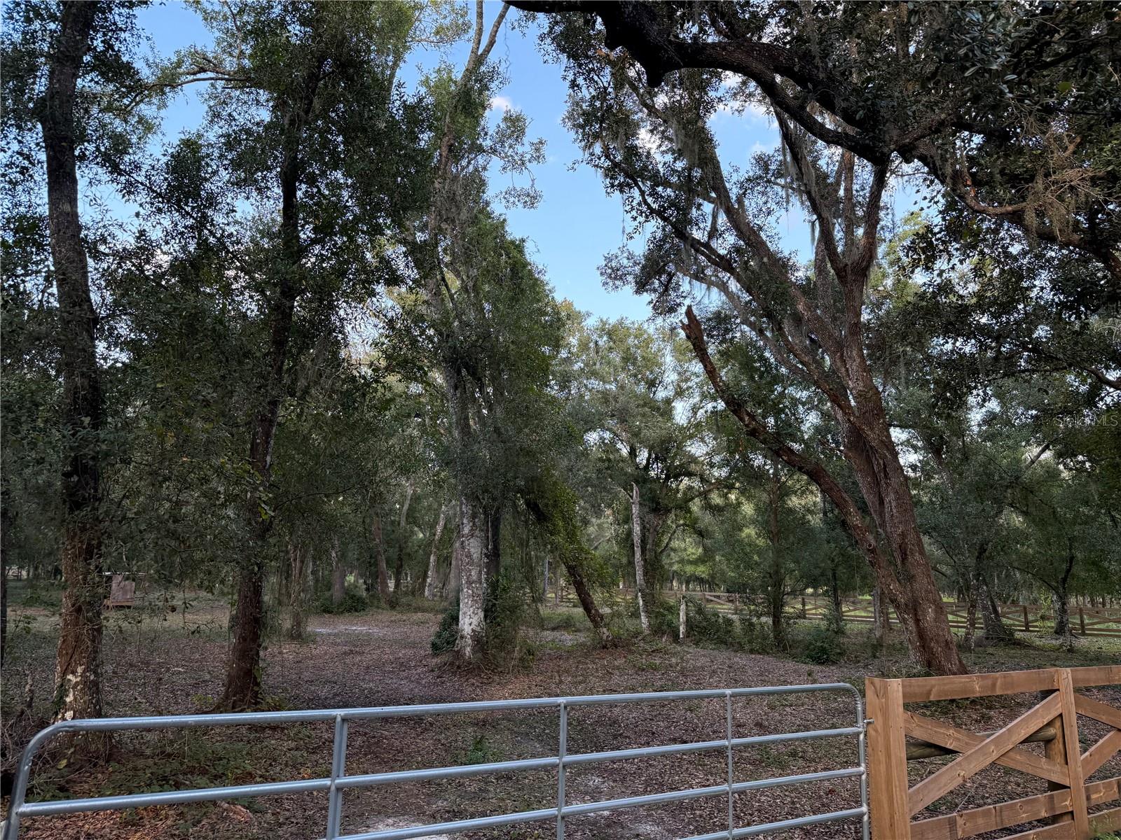 SE BROWN RD, ARCADIA, FL