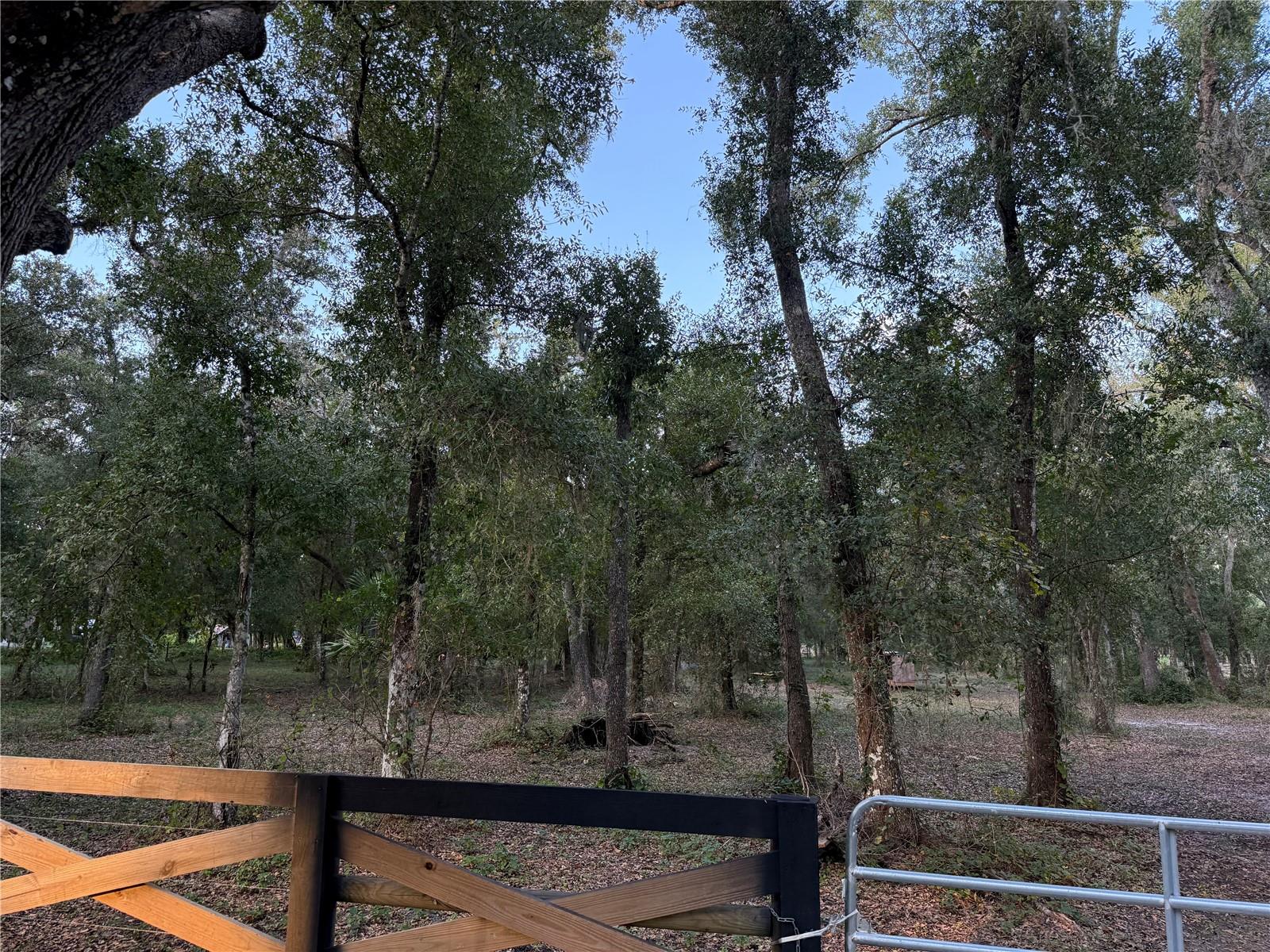 SE BROWN RD, ARCADIA, FL — photo 4