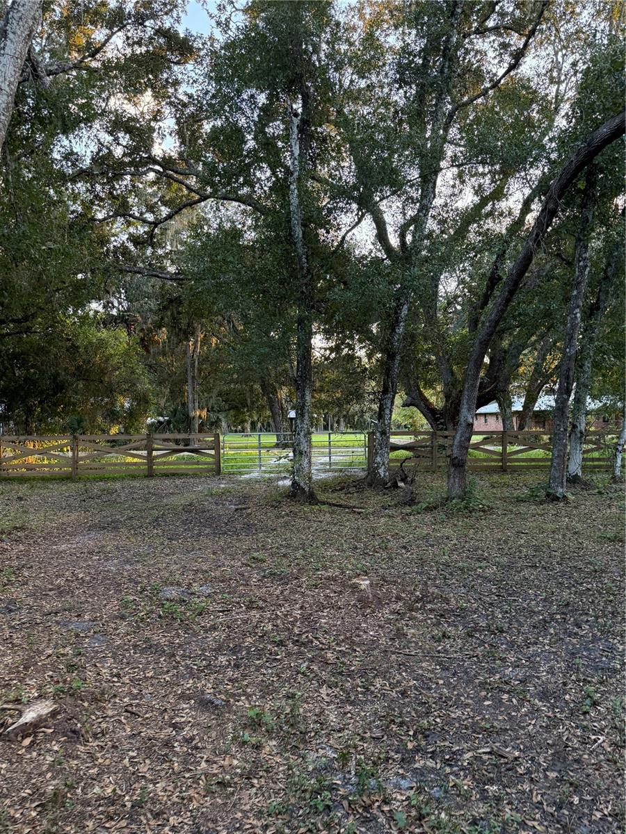 SE BROWN RD, ARCADIA, FL — photo 8