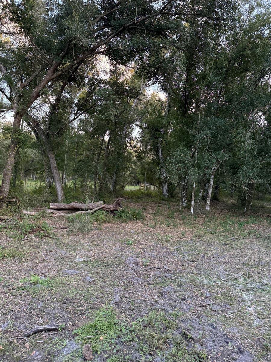 SE BROWN RD, ARCADIA, FL — photo 9
