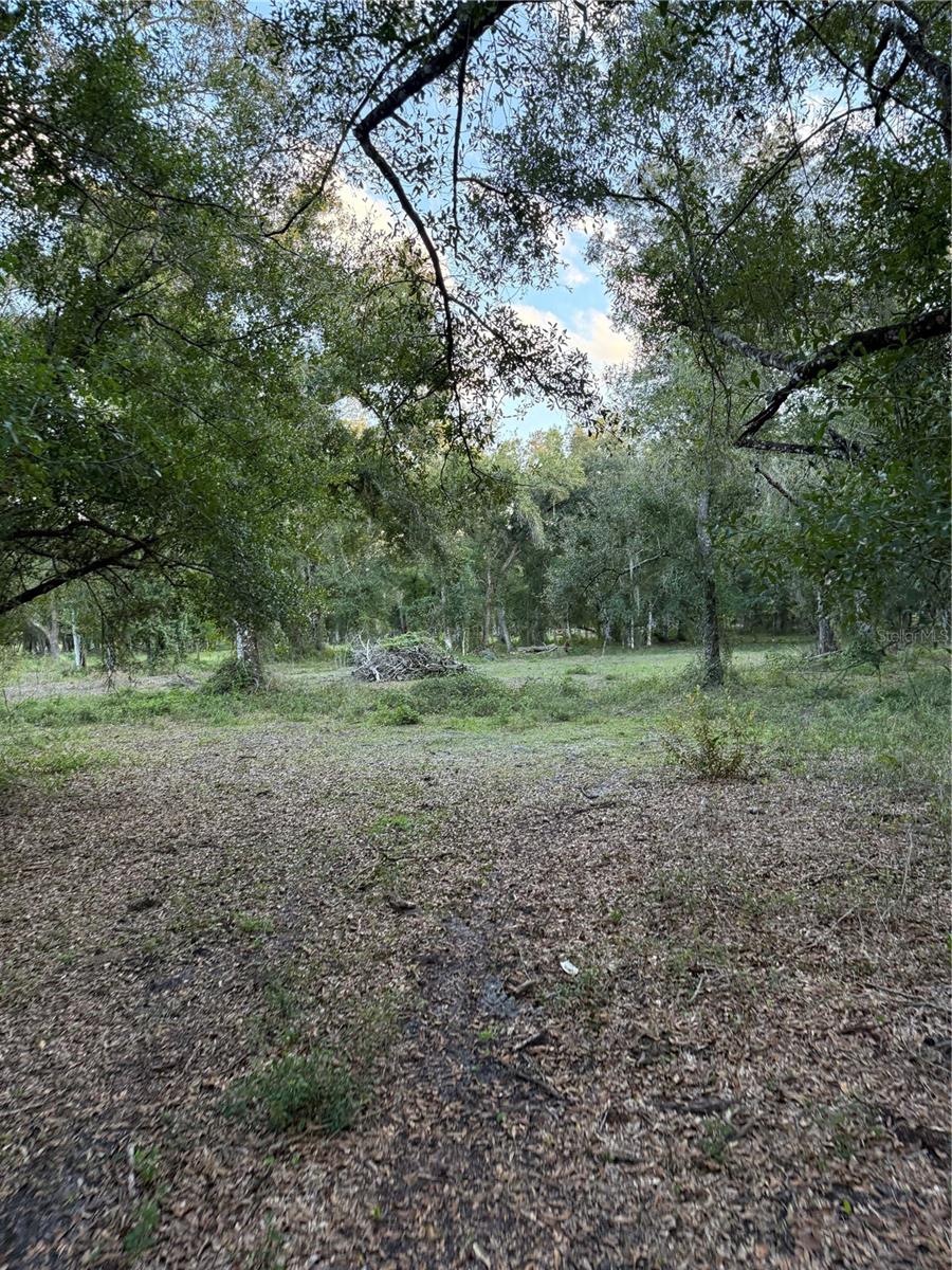 SE BROWN RD, ARCADIA, FL — photo 10