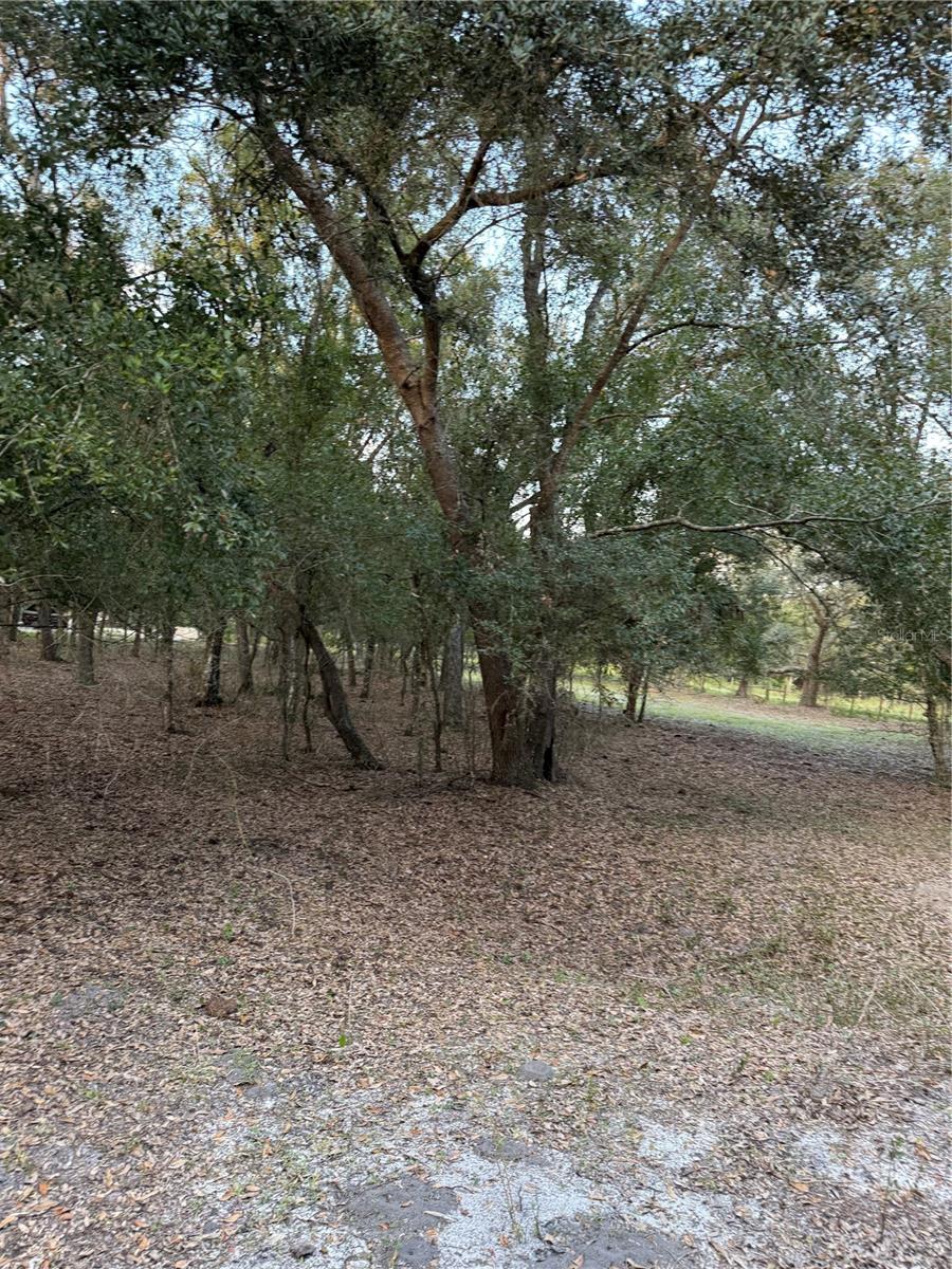 SE BROWN RD, ARCADIA, FL — photo 11