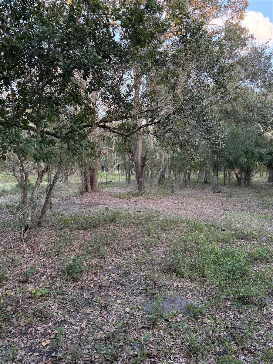SE BROWN RD, ARCADIA, FL — photo 13