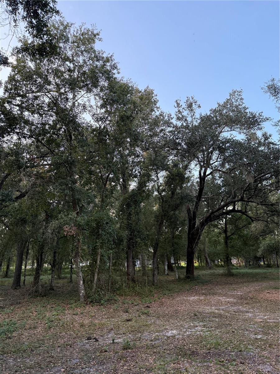SE BROWN RD, ARCADIA, FL — photo 14