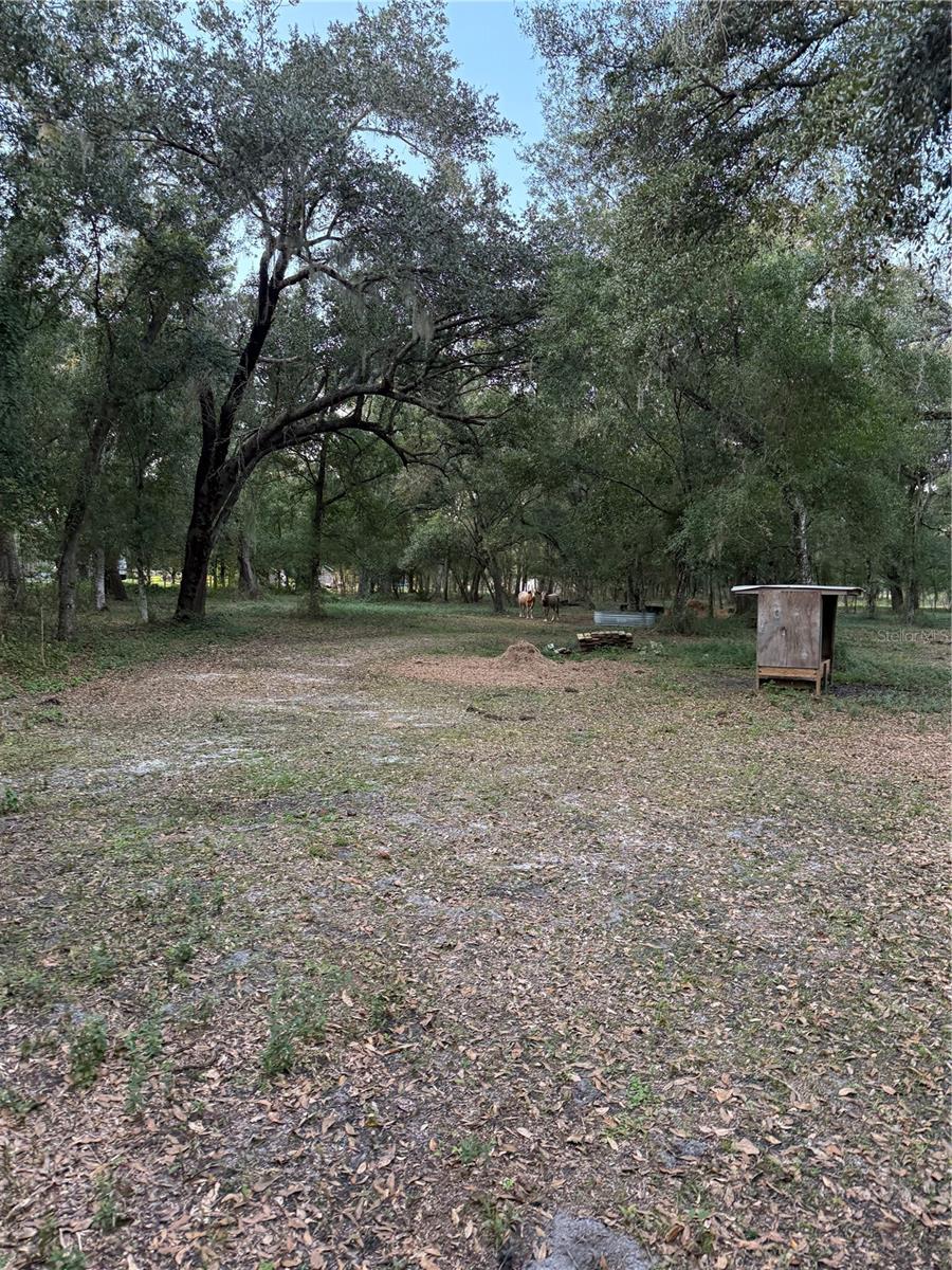 SE BROWN RD, ARCADIA, FL — photo 15